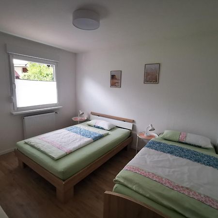 Ferienwohnung Blick Rappenstein Hausen am Tann Εξωτερικό φωτογραφία